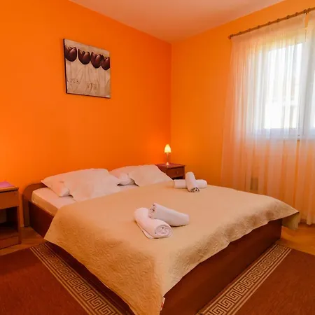 Amico * Zadar